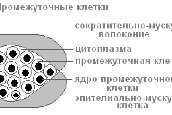 Блэк спрут ссылка на сайт