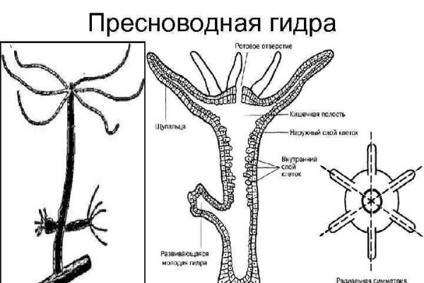 Прямая ссылка на блэкспрут 1blacksprut me