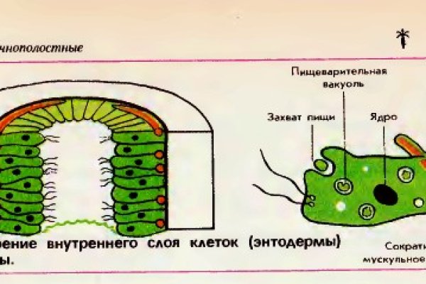 Спрут сайт тор bs onion info