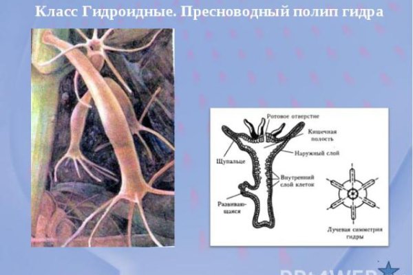 Блэкспрут даркнет маркет