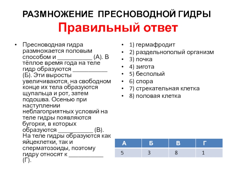 Официальное зеркало блэкспрут bs2tor nl